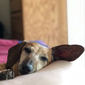 Meet your Posher, Cristina